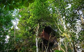 Greens Tree House & Wood House